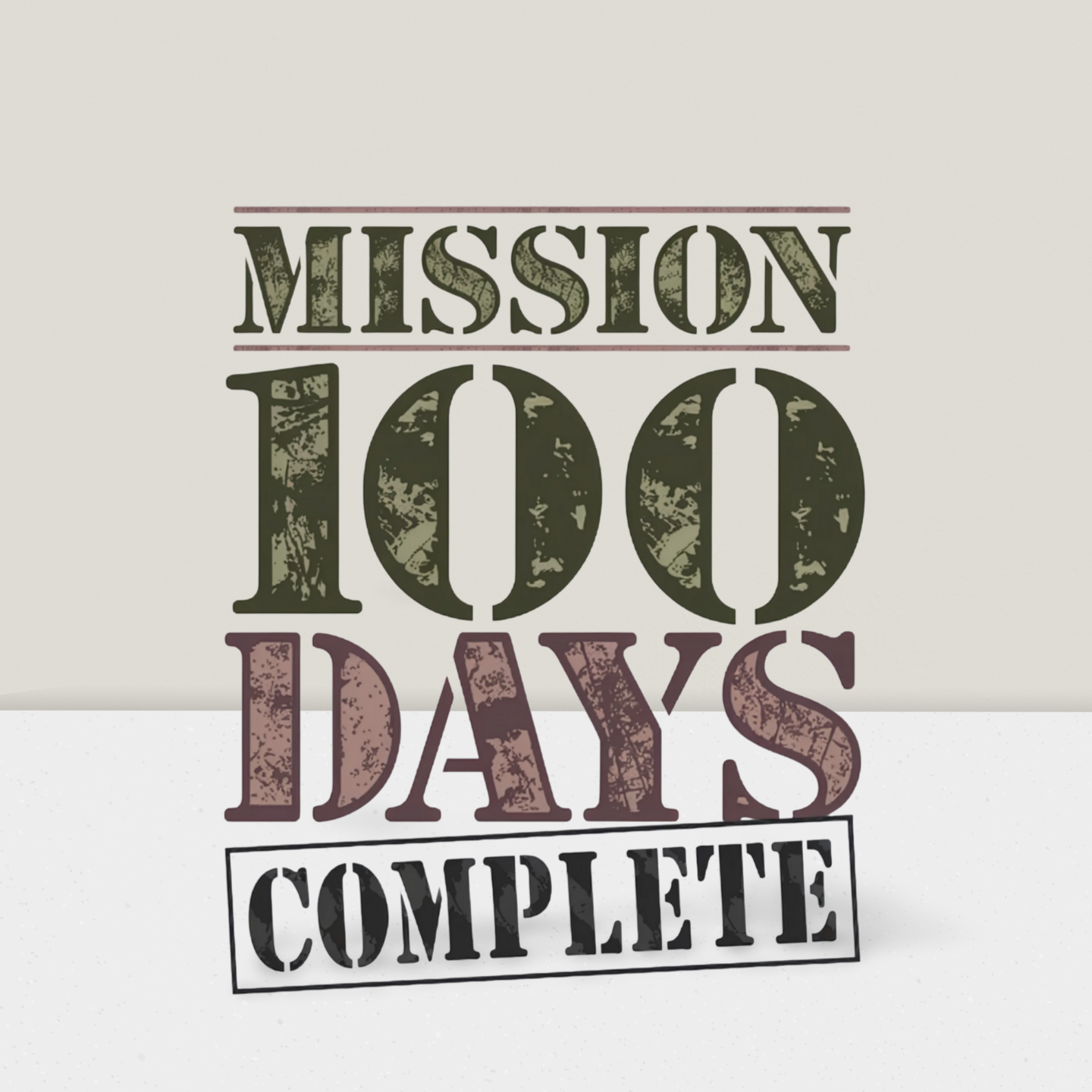 Mission 100 Days