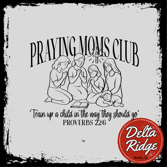Praying Moms Club
