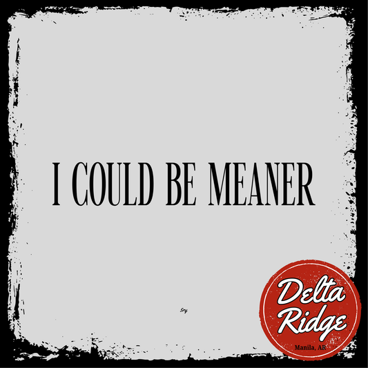 I Could Be Meaner
