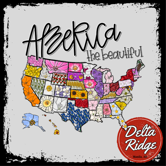 America the Beautiful