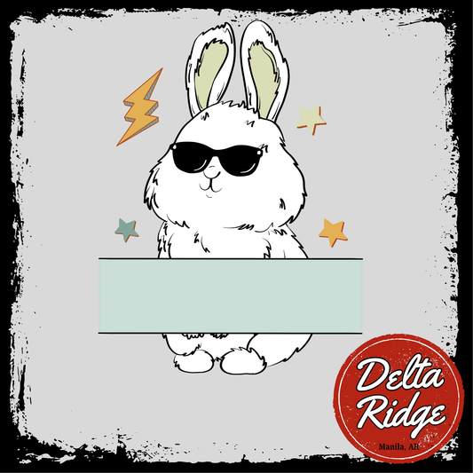Blue Bunny